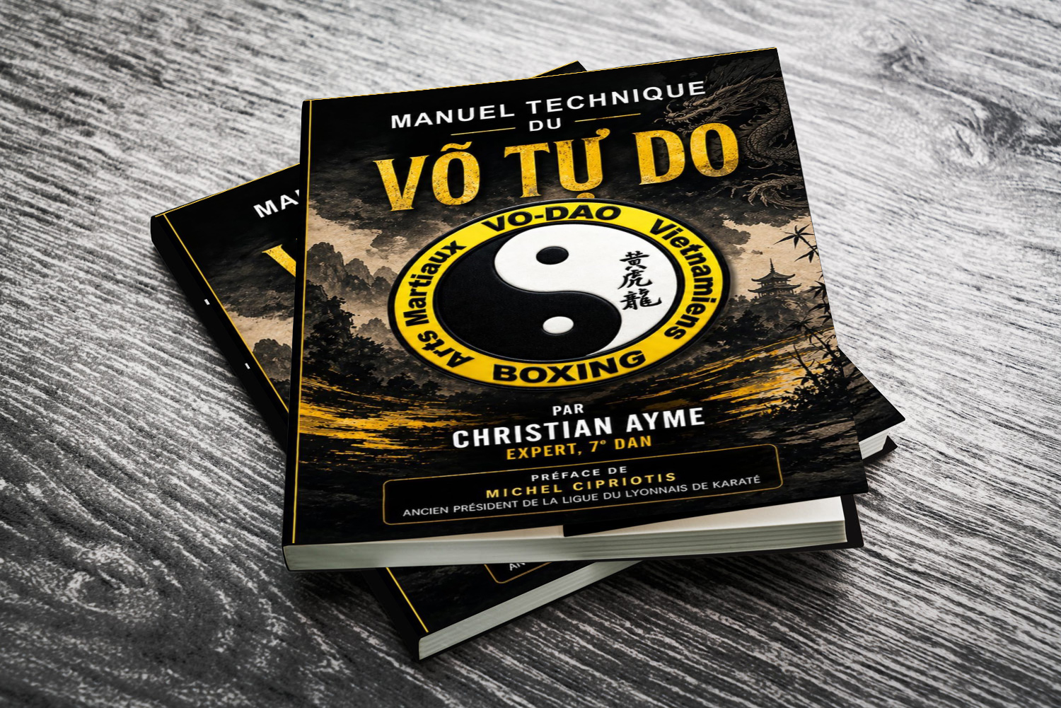 livre-2-manuel-technique-du-VO-TU-DO-Arts-Martiaux-Vietnamiens