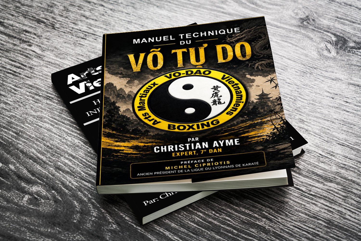 livre-art-martiaux-vietnamien-ho-long-hoang-vo-dao-edition-1-et-2