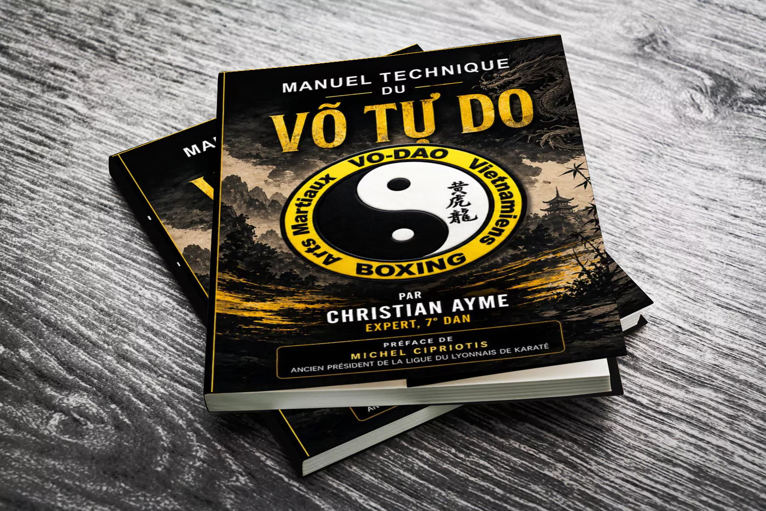 livre-2-manuel-technique-du-VO-TU-DO-Arts-Martiaux-Vietnamiens