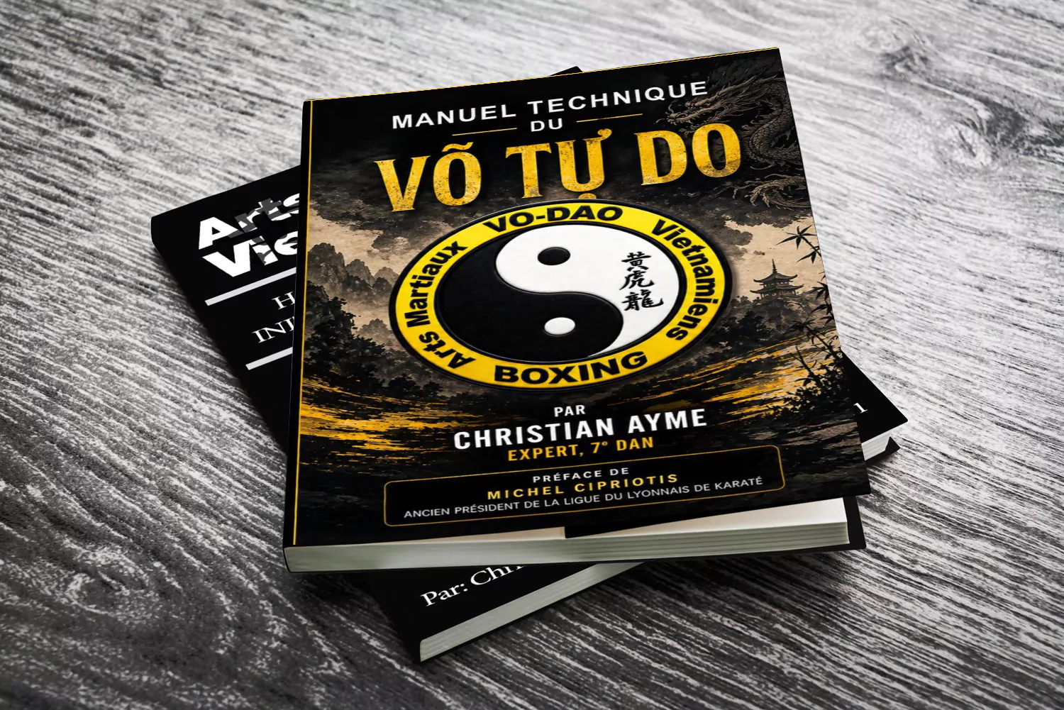 livre-art-martiaux-vietnamien-ho-long-hoang-vo-dao-edition-1-et-2