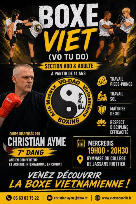 viet-vo-dao-hlh-affiche-boxe-viet